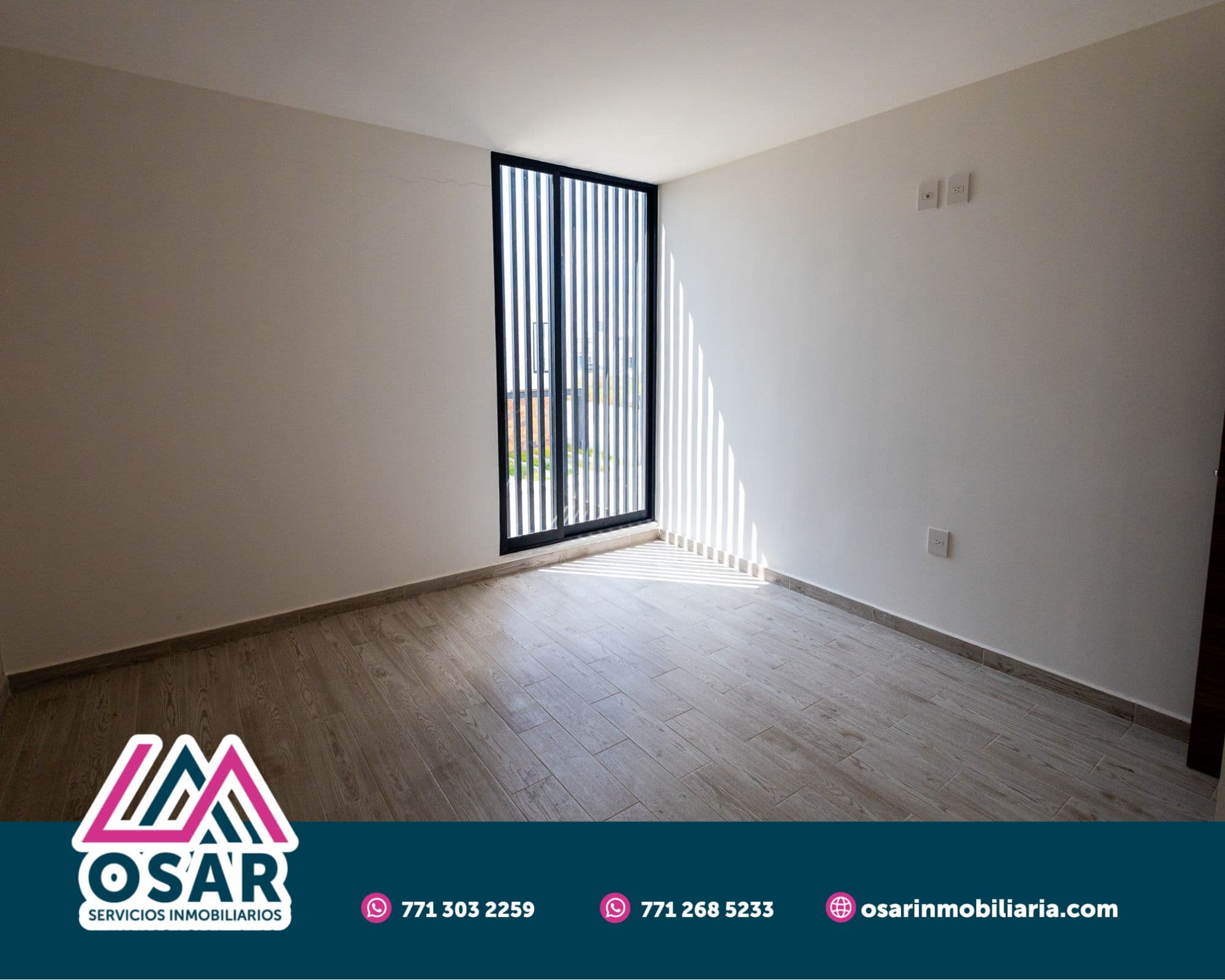 Girasol - Villa de San Juan - imagen 4